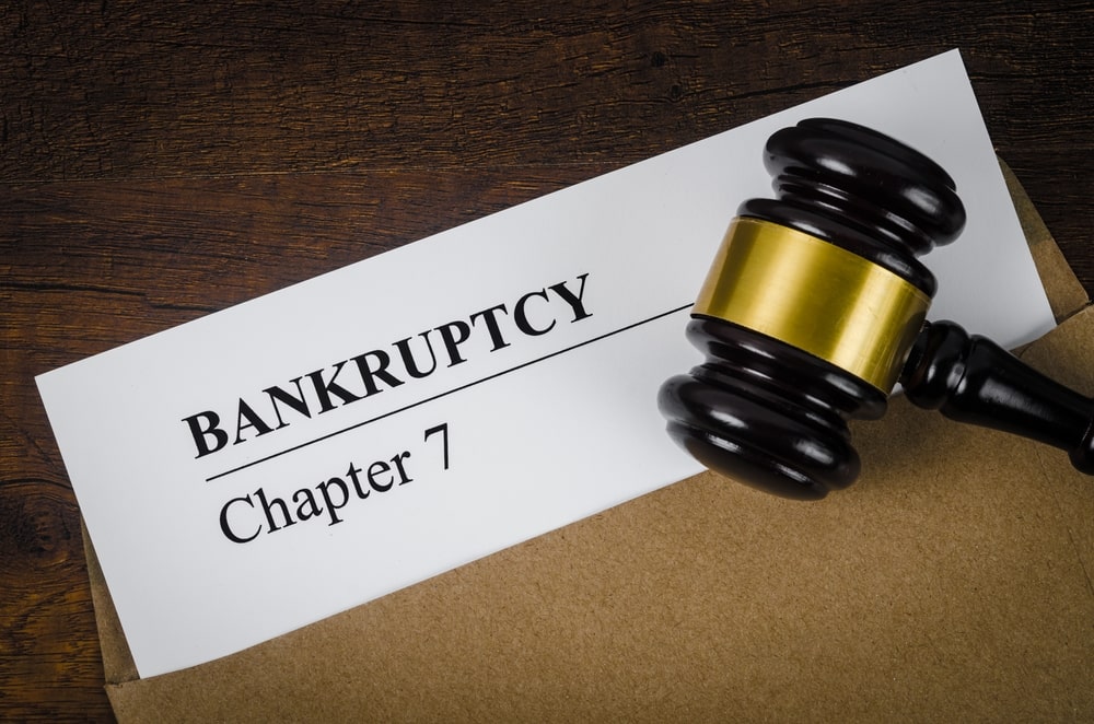 Bankruptcy Chapter 7 Documents With Judges Hammer